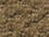 Carpet Sample