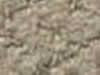 Carpet Sample