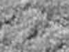 Carpet Sample