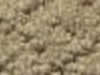 Carpet Sample