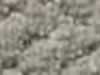 Carpet Sample