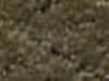 Carpet Sample
