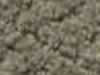 Carpet Sample