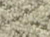 Carpet Sample