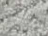 Carpet Sample