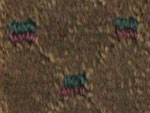 astoria hospitality carpet