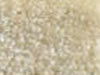 Textured Carpet Sample