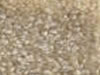 Textured Carpet Sample