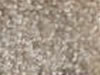 Textured Carpet Sample