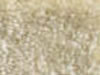 Textured Carpet Sample