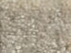 Textured Carpet Sample