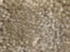 Textured Carpet Sample