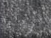 Textured Carpet Sample