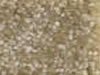Textured Carpet Sample