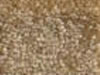 Textured Carpet Sample