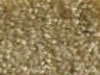 Textured Carpet Sample