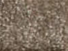 Textured Carpet Sample