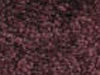 Textured Carpet Sample