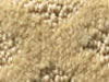 cut and uncut patterned carpet