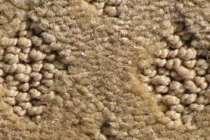 cut and uncut patterned carpet