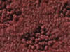 cut and uncut patterned carpet