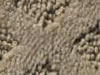 cut and uncut patterned carpet