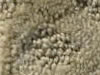 cut and uncut patterned carpet
