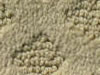 cut and uncut patterned carpet