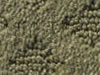 cut and uncut patterned carpet