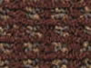 commercial carpet sample