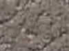 Carpet Sample