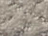 Carpet Sample