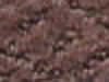 Carpet Sample