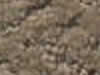 Carpet Sample