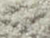 Carpet Sample