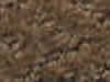 Carpet Sample