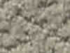 Carpet Sample
