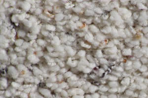 Freize Carpet Sample
