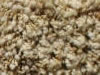 Freize Carpet Sample