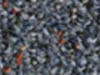 commercial carpet sample