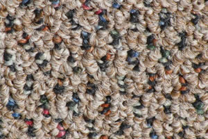 commercial carpet sample