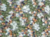 Hospitality Carpet Sample