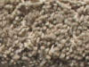 freize carpet sample