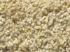 freize carpet sample