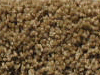 freize carpet sample