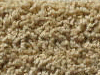 freize carpet sample