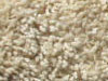 freize carpet sample