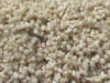 freize carpet sample