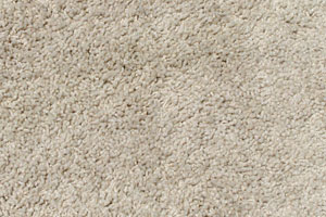 Freize Carpet Sample