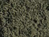 freize carpet sample